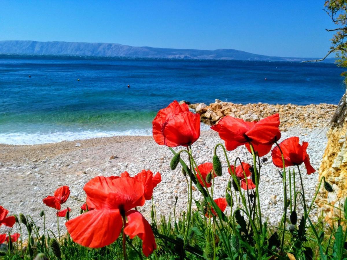 Loft-Beach-Apartments Ratko Novi Vinodolski Zewnętrze zdjęcie